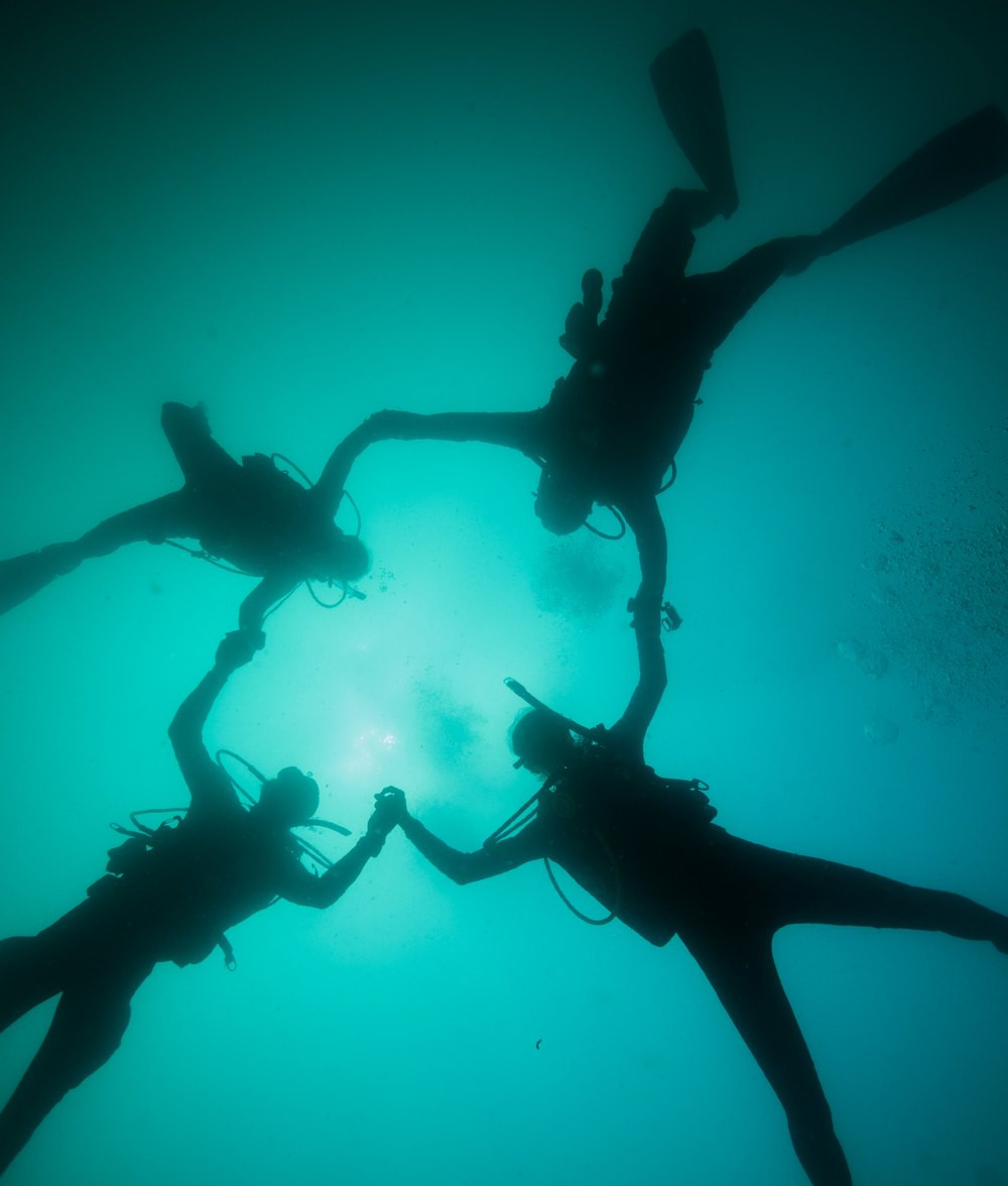 Divers linking hands in a circle, seen from below, Cabo Pulmo